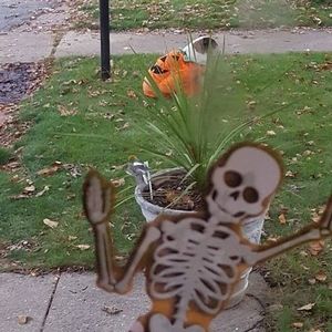 Meet your Posher, Dave